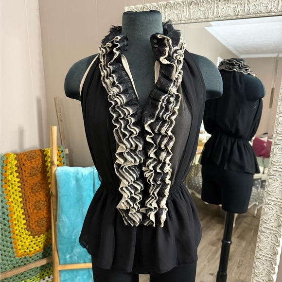 Robert Rodriguez • Neiman Marcus • Target • Victorian Ruffle Blouse - Picture 9 of 13